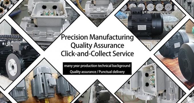 Silnik 7KW z wałem drążonym z pompą AR Interpump do maszyn czyszczących dla przemysłu 11