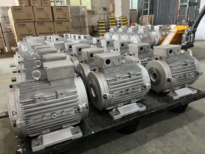 50Hz 60Hz wodoodporny 0,09kw 0,12Hp Czteropolacyjny silnik elektryczny asynchroniczny 380V 1500RPM Trójfazowy zamknięty 220V napięcie AC 17