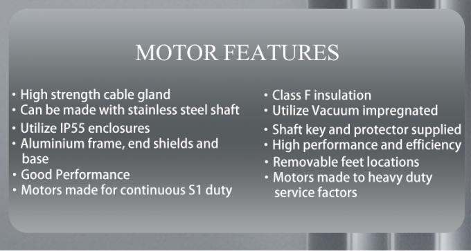 Pompa do basenu 2800 obr./min, jednofazowy silnik asynchroniczny z wodoszczelną aluminiową obudową i częstotliwością 220V 50Hz 4