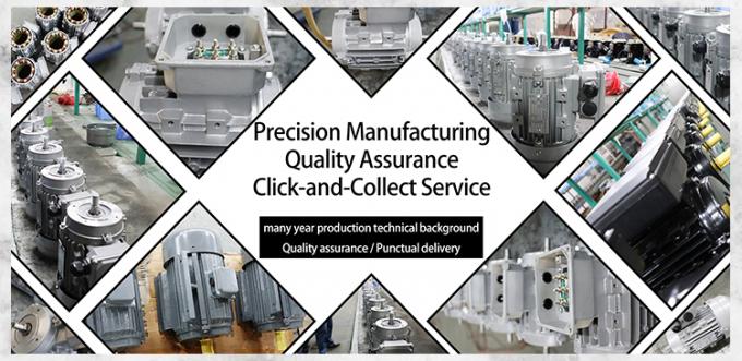 50Hz 60Hz wodoodporny 0,09kw 0,12Hp Czteropolacyjny silnik elektryczny asynchroniczny 380V 1500RPM Trójfazowy zamknięty 220V napięcie AC 13