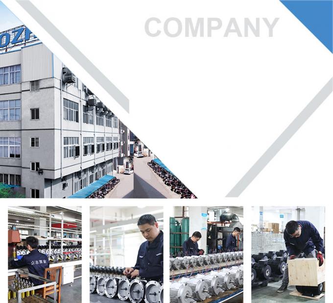 50Hz 60Hz wodoodporny 0,09kw 0,12Hp Czteropolacyjny silnik elektryczny asynchroniczny 380V 1500RPM Trójfazowy zamknięty 220V napięcie AC 14