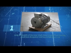 ZOZHI HS100L3-4 5.5HP/4KW silnik z wałem drążonym kolor czarny