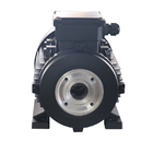 5.5kw High Speed Hollow Shaft Motor 100% Copper Winding For Steam Cleaning Equipment