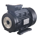 3 Phase Hollow Shaft Motor 24mm Shaft Diameter For Electric Pressure Washer