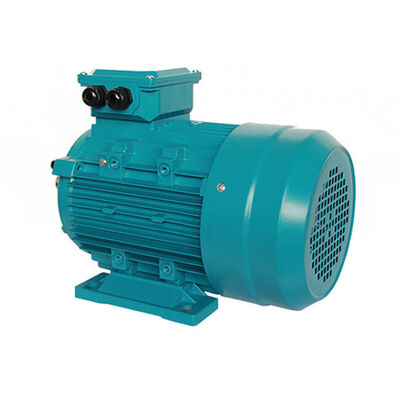 Flange Mounted 3 Phase Induction Motor Featuring IP55 Protection Grade and IP23 IP44 IP54 Ratings for Industrial Operation
