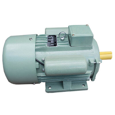 4 Pole 3 Phase Induction Motor Foot Mounted Flange Mounted Designed for Continuous Operation in Industrial Environments