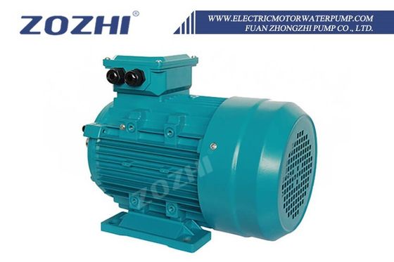 Three-Phase Induction Pump Motor 0.75KW 220/380V 1390 RPM Waterproof Flange Mount IE2 ZOZHI 