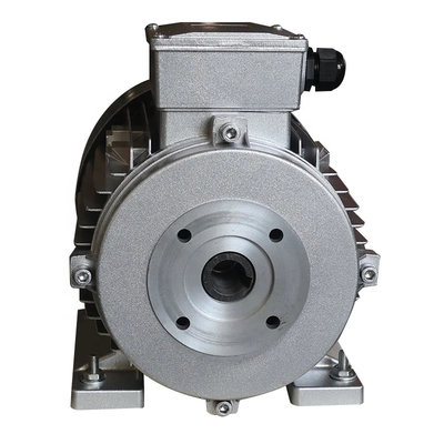Insulation Class F/H 3 Phase Induction Motor with 50Hz/60Hz 750-3000r/min Rated Speed