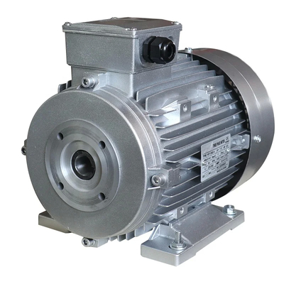 35kg IP55 Głowy wał AC Motor 24mm średnica Wytworzony przez ZOZHI Motor