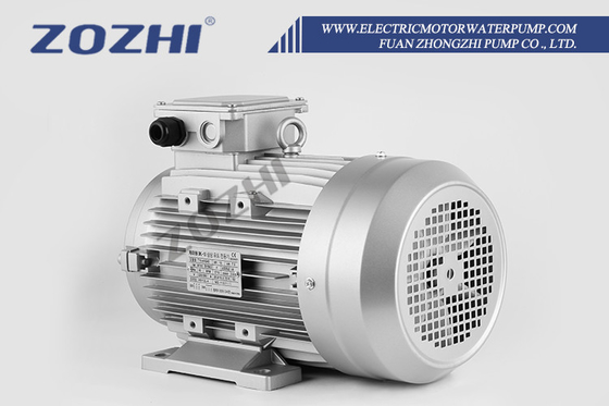 Silnik 7KW z wałem drążonym z pompą AR Interpump do maszyn czyszczących dla przemysłu