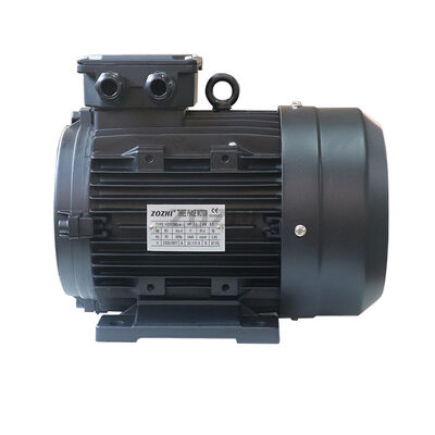 Outerdiameter 60 Mm Hollow Shaft Motor IP55 Protection Class 85 Efficiency Designed for Robotics and Automation Systems
