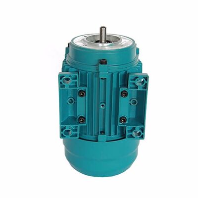 20m Head 3 Phase Induction Motor Flange Mounted Cast Iron Housing Built to Provide Stable Torque and Energy Consumption