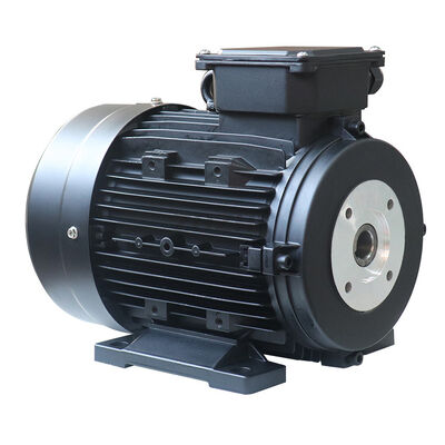 380V hollow shaft electric motor with 24MM shaft diameter designed to meet demanding industrial automation requirements